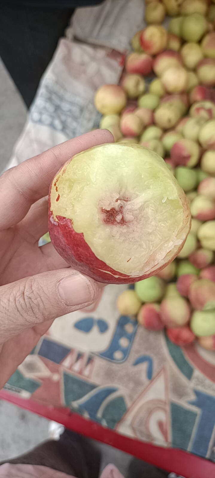 晚熟 敦煌特产李广桃紫胭桃青皮桃非油桃时令应季水果现摘先发