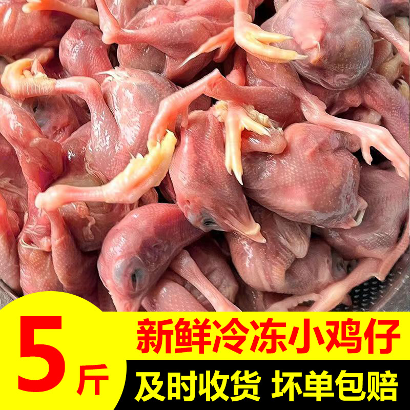 小鸡仔冷冻新狗狗鲜食用生骨肉蛇粮鹰...