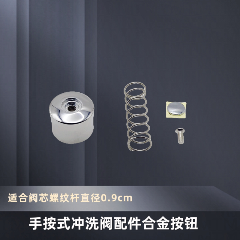 手按式冲洗阀合金按钮不锈钢弹簧厕所自闭延时冲水阀大号开关配件