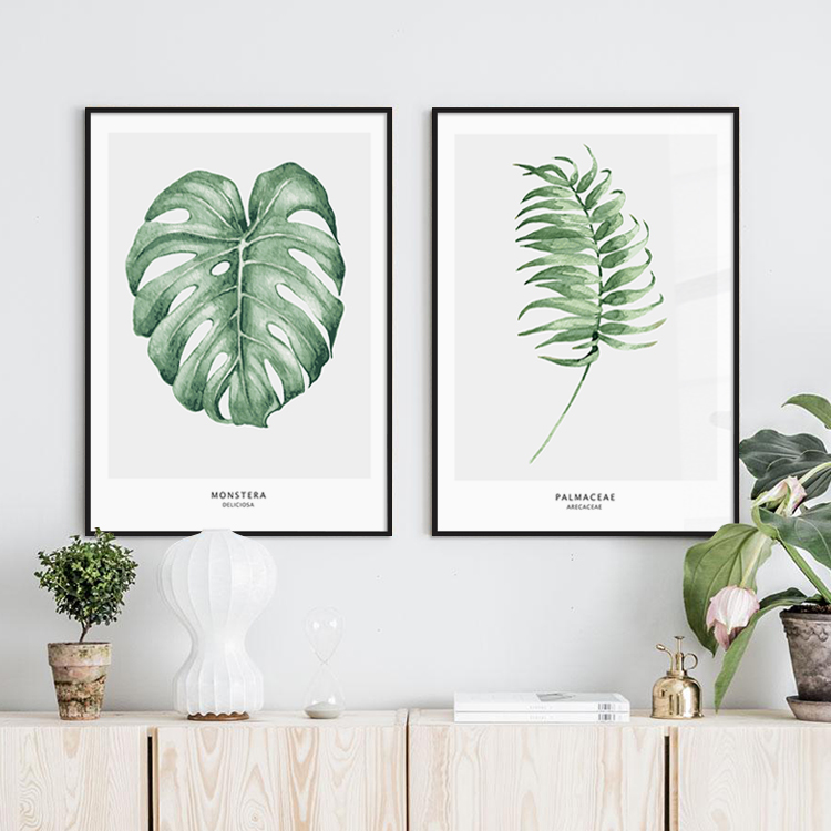 noc 现代简约清新龟背竹植物装饰画 北欧客厅组合画 卧室餐厅挂画