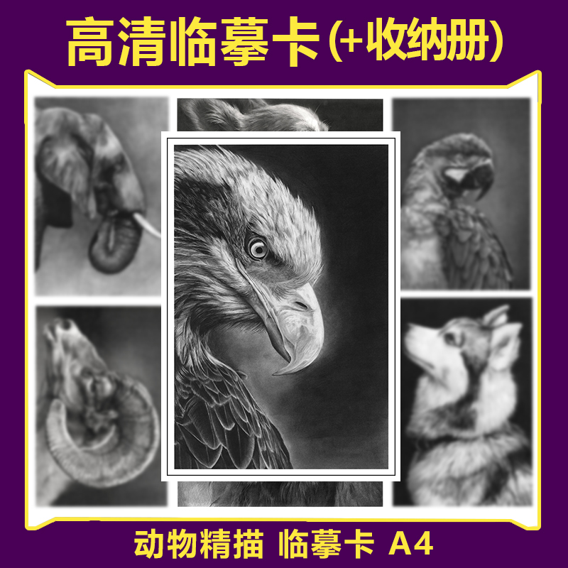 楚凡超写实精描微动物素描临摹卡