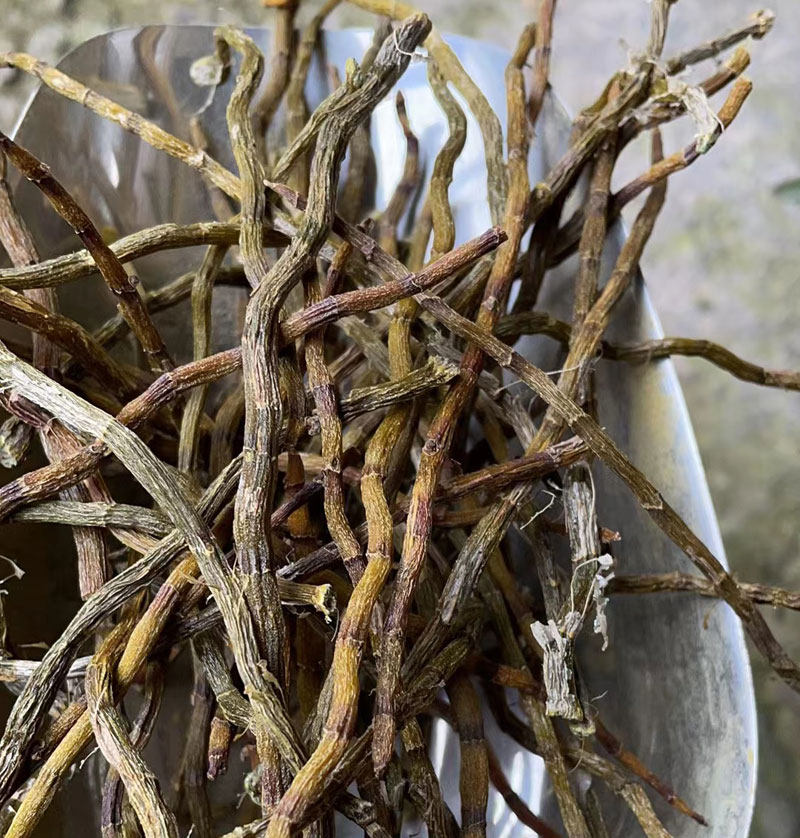 现场打粉寒岩浙江本地铁皮石斛干条胶多渣少