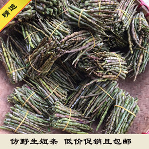 开花前短条黑节短节胶多红杆铁皮石斛鲜条