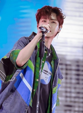 汪苏泷同款绿珠蝴蝶雏菊项链圈演唱会同款饰品