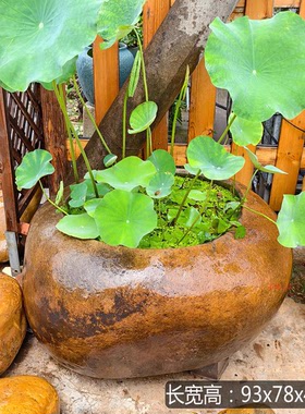 禅意天然石缸养鱼养荷花盆庭院