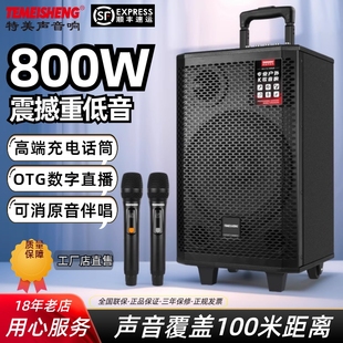 特美声A1 08便携拉杆音响大功率重低音充电话筒OTG内录直播广场舞