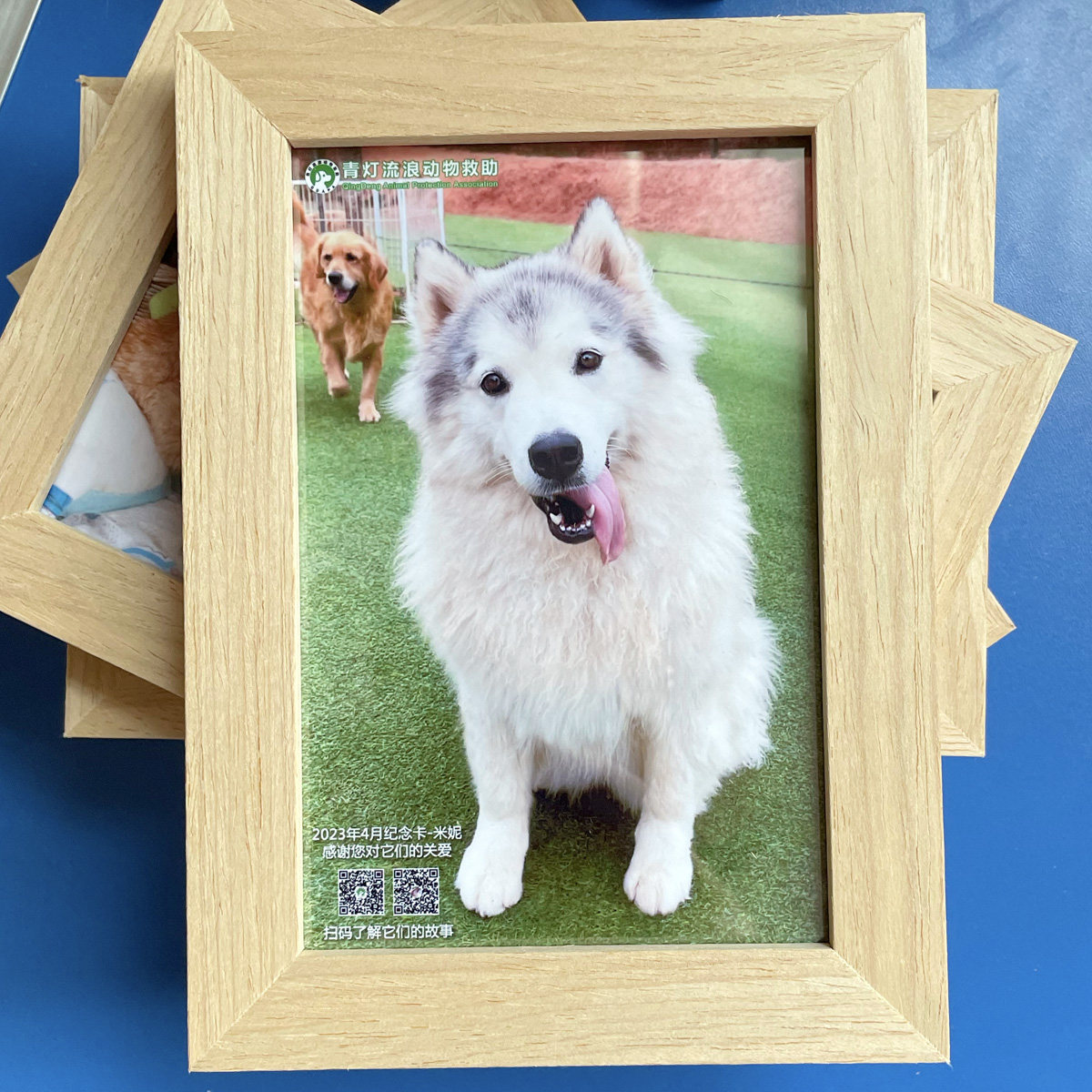 狗狗宠物照片定制相框摆台-支持流浪动物救助