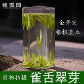 新茶 雀舌翠芽 颗颗直立 四川竹叶绿茶 惊雪园