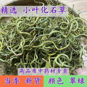 云南野生化石草小叶250g正品特级猫须草中药材肾精茶猫须公排溶石