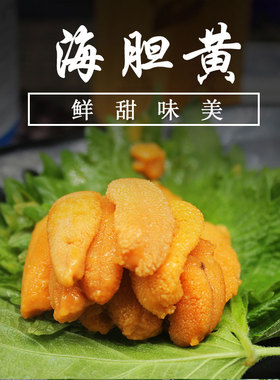 新鲜海胆黄马粪海胆 紫胆黄胆鲜活海胆 海鲜非冻海胆