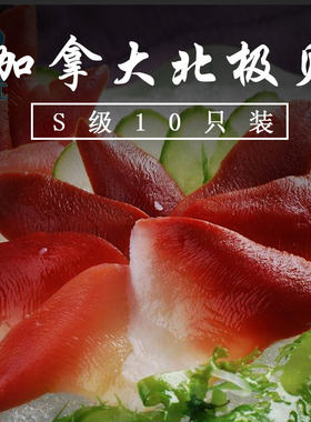 加拿大北极贝ss级鲜甜刺身伴侣