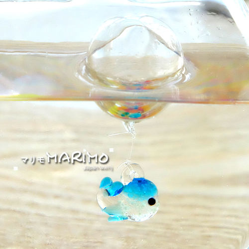 海藻球水培植物微景观玻璃浮球