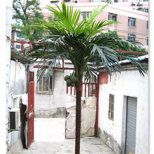 仿真椰子树,高度.米宽度.米仿真树