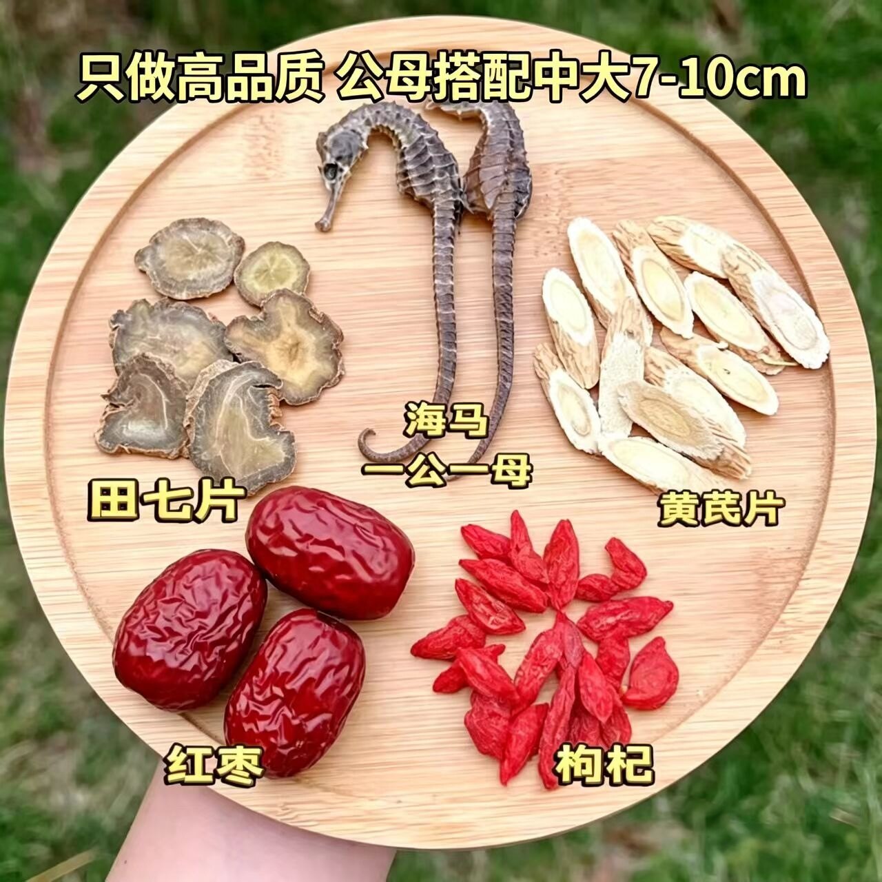 广东煲靓汤食材儿童成长营养汤助高发育三七黄芪枸杞红枣海马汤包