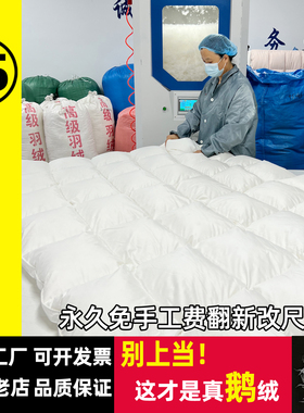 直播现充羽绒被95白鹅绒冬被加厚保暖单双人儿童春秋被芯结婚被子