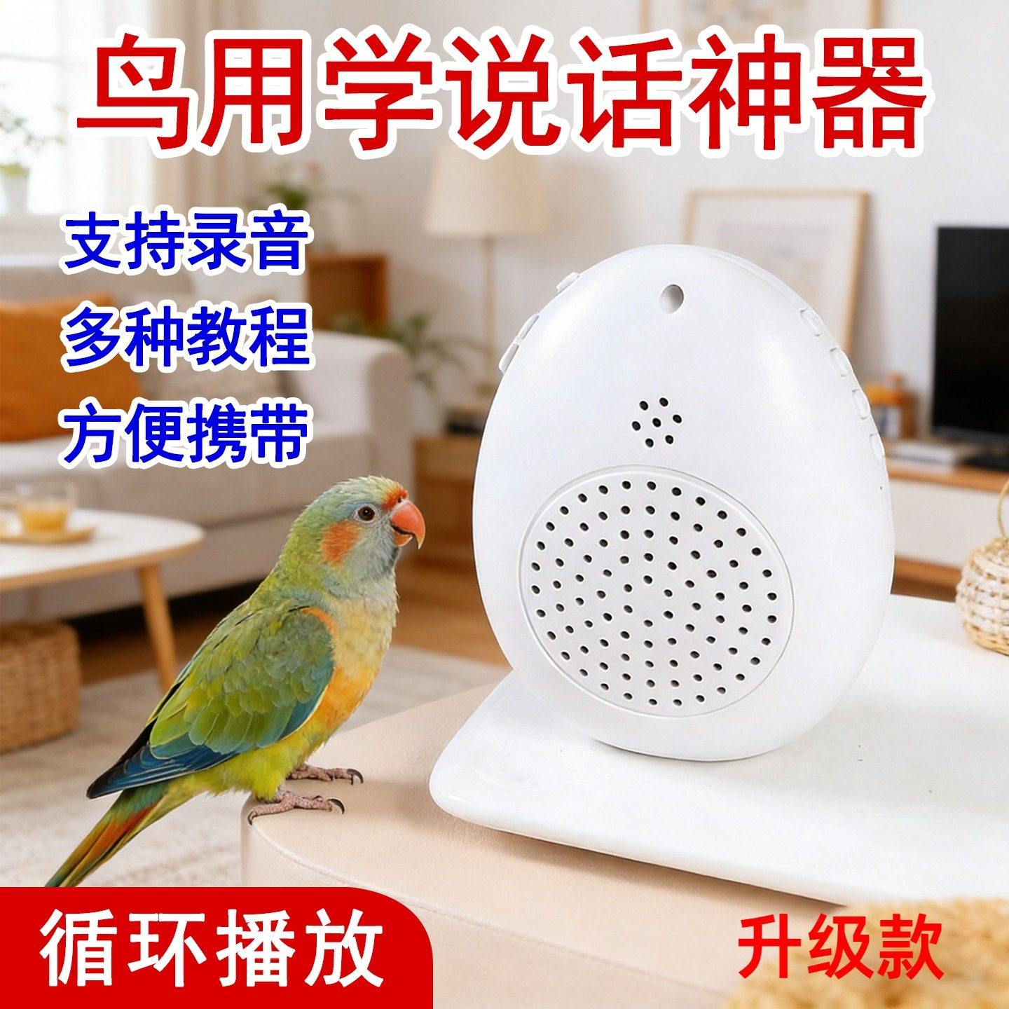 鹦鹉学说话神器鸟用学习播放机和尚八哥早教复读机鹩哥玄凤训练器,宠物/宠物食品及用品,鸟玩具,淘宝优惠券,粉丝福利购,淘宝优惠卷