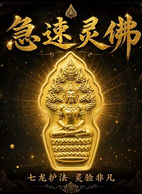 【DN泰享】极速灵佛帕昭坦斋