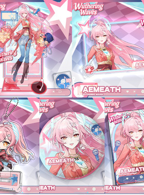 同人谷鳴潮游戏新款爱弥斯琳奈莫宁千咲立牌透卡吧唧挂件夹层