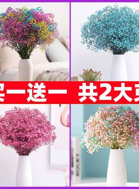 满天星花束干花真花风干天然超大束散装论斤卖客厅装饰摆件带花瓶
