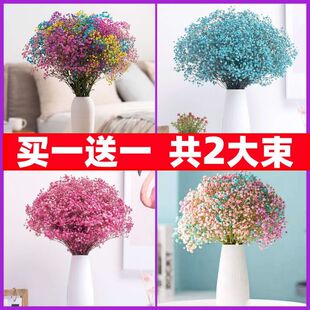 满天星花束干花真花风干天然超大束散装论斤卖客厅装饰摆件带花瓶