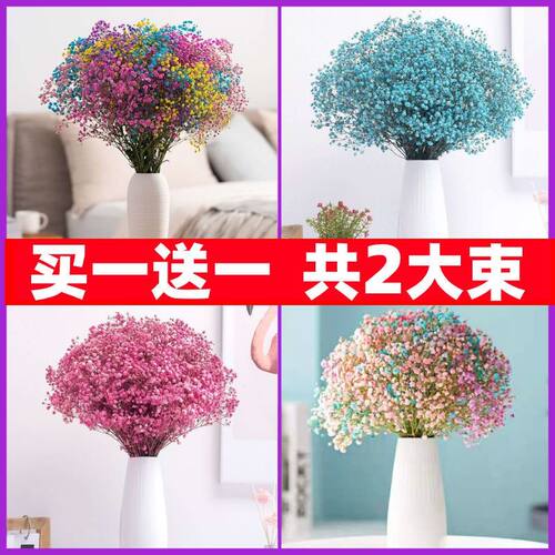 满天星花束干花真花风干天然超大束散装论斤卖客厅装饰摆件带花瓶