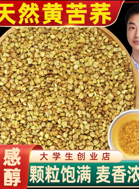 正宗黄苦荞麦茶即食炒熟苦荞茶批发泡茶商用中药材酒店饭店专用