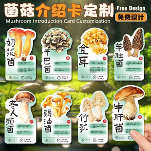 菌菇菜品标签牌定制菜名pvc介绍卡片云南野生菌类拼盘火锅展示牌