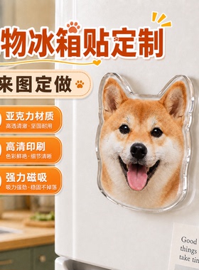 宠物冰箱贴定制萌宠照片diy定做小狗狗猫咪头像亚克力磁吸片设计