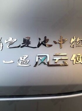 金lin岂是池中物一遇风云车尾标