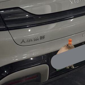 小米不锈钢定制个性车尾标