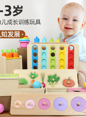 EDUcare0-3岁婴幼儿认知发展彩色插片屏风抓手拼图木制早教玩具
