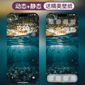 安卓苹果手机高清动态壁纸2K4K8K个性 图片视频动态壁纸 河流游鱼