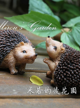 多肉盆景装饰家居摆件贼小刺猬组