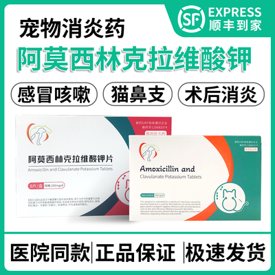 中农莫比新阿莫西林速诺类消炎药