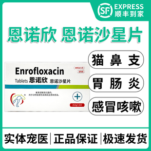 恩诺欣恩诺沙星片宠物消炎药猫狗子宫蓄脓胃肠炎皮肤病泌尿道感染