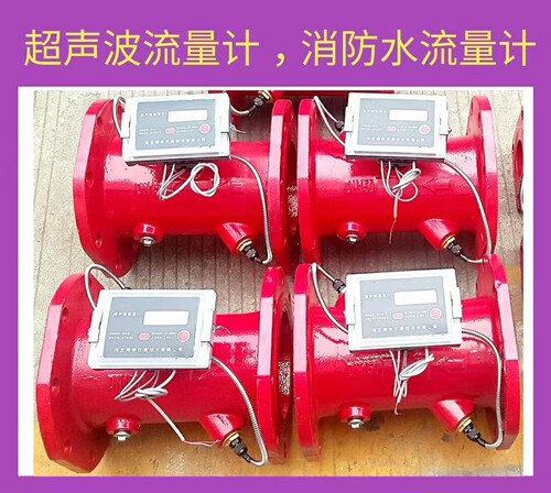 瑞辉 超声波流量计 消防水流量计管道流量计 农田灌溉流量计DN100