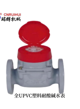 DN50全塑料耐酸碱水表 防腐蚀UPVC海水水表流量计RHNY-A50F