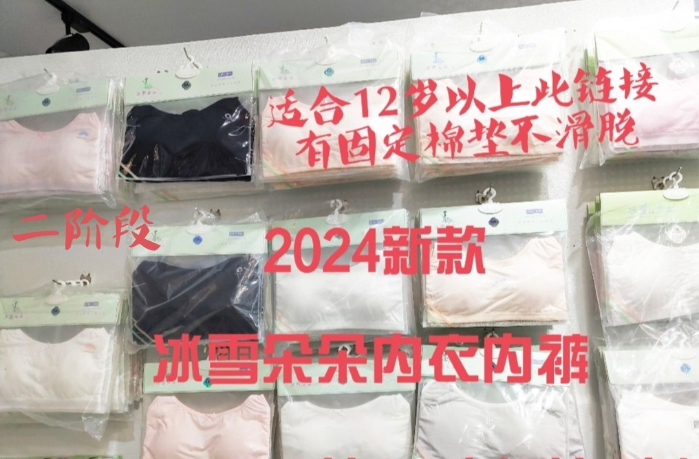 12-18岁冰雪朵朵2024新款少女发育期纯棉针织运动内衣