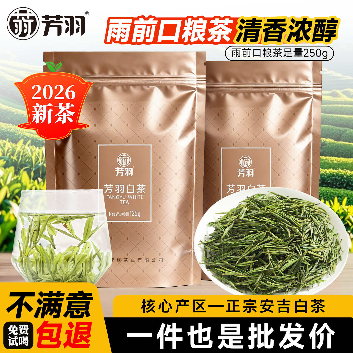 2026新茶芳羽安吉白茶口粮茶茶叶图片