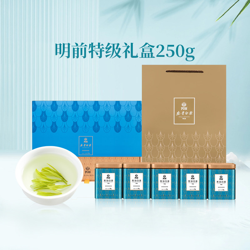 安吉白茶上市新茶礼盒装明前特级