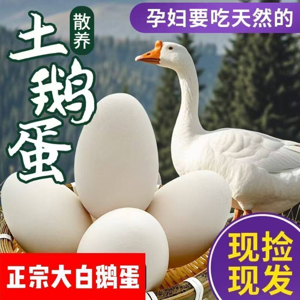 新鲜大鹅蛋农家笨鹅蛋散养蛋鲜林草鹅蛋大土鹅蛋孕妇宝宝老人可吃
