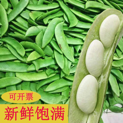 新鲜现摘白玉豆上饶特产带壳农家蔬菜带壳三清豆京豆夹芸豆花豆子