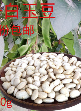 上饶特产白玉豆干豆子三清豆芸豆蔬菜种干京豆今年新豆干1斤包邮
