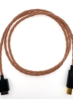 适用于索尼WMC-NWH10 walkman dock转usb b台式解码耳放OTG音频线