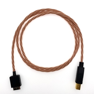 NWH10 解码 walkman b台式 耳放OTG音频线 dock转usb 适用于索尼WMC