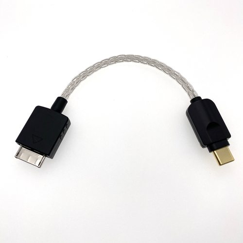 WALKMAN转TYPEC解码线镀银线黑砖