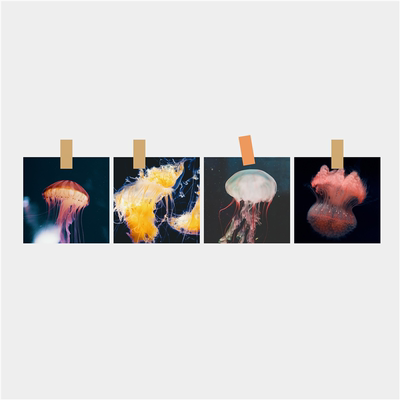 「Lighthouse Jellyfish」灯塔水母 明信片ins原创祝福语小卡片