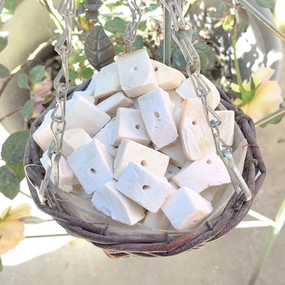 鹦鹉专用脱盐墨鱼骨打孔断块