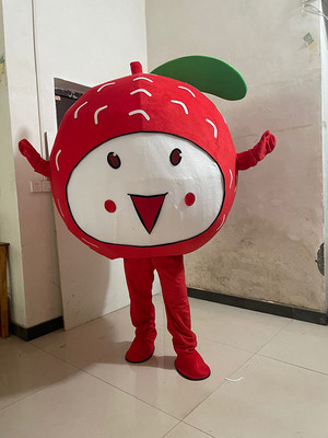 定制水果卡通人偶服装杨梅