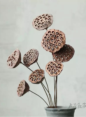 自然干枯莲蓬 灰黑色 纯自然家居装插花配饰 Lmdec干花/天然花饰